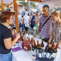 Altroke Istra Gourmet festival v Kubed privabil množico obiskovalcev od vsepovsod (FOTO)