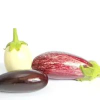 Poznamo različne oblike in barve jajčevcev.