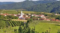 Vipavci so v strategiji  razvoja kmetijstva v občini  do leta 2034  predvideli  dvig  kmetijske proizvodnje in 
lokalne oskrbe, s tem pa tudi večje   prihodke kmetijskih gospodarstev. 

 