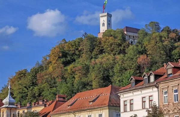 Statistika razkriva marsikaj o življenju v preteklosti.