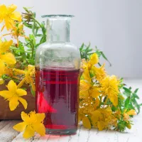  Učinkovine iz šentjanževke (hipericin, hiperforin in flavonoidi) se vsestransko obnesejo pri zdravljenju kože.