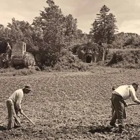 Še  v prvi polovici 20. stoletja so v Svetem gozdu njive obdelovali 
lokalni kmetje ter pasli drobnico.