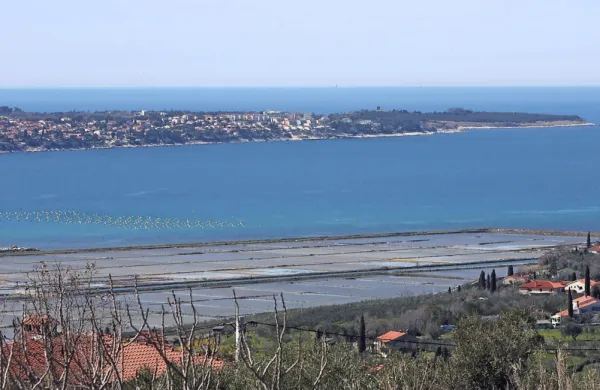 V Savudriji je prišlo do incidenta na plaži. 