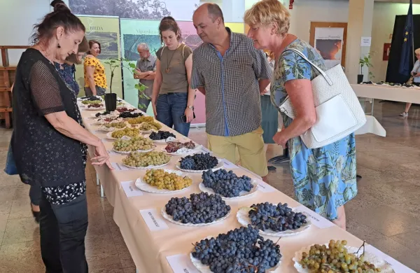 Utrinek za lanskoletne razstave