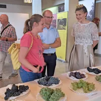 Dan odprtih vrat Selekcijsko trsničarskega sredi&scaron;ča