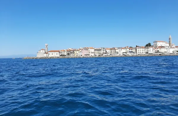 Morje je precej hladnejše kot lani v tem času, ko je bilo 
nadpovprečno toplo. 