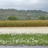 (FOTO in VIDEO) Dekani so bili več kot uro odrezani od sveta