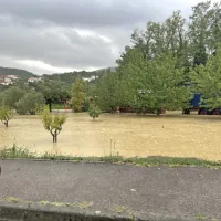 (FOTO in VIDEO) Dekani so bili več kot uro odrezani od sveta