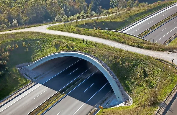  Ekodukt oziroma premostitveni objekt za živali je načrtovan tako, 
da omogoča morebitno bodočo širitev avtoceste v šestpasovnico.