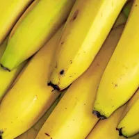 



 Banane vsebujejo približno 74 odstotkov vode, zato pomagajo pri 
hidraciji telesa.