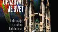 Rdeči nagelj, ki kljubuje sredi razbitin