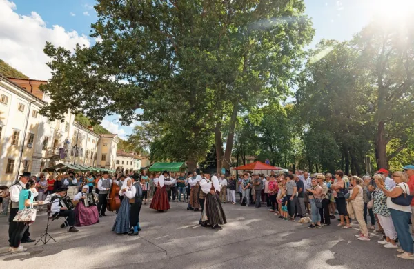 Začenja se Vipavska trgatev