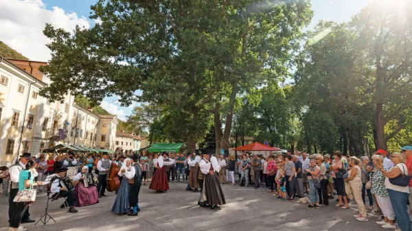 Začenja se Vipavska trgatev