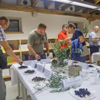 (FOTO) Picholine so premagale &scaron;torte