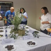 (FOTO) Picholine so premagale &scaron;torte