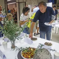(FOTO) Picholine so premagale &scaron;torte
