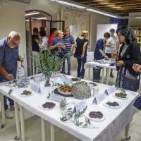 (FOTO) Picholine so premagale &scaron;torte