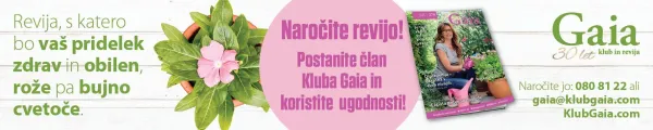 Kaj jeseni rezati v okrasnem vrtu