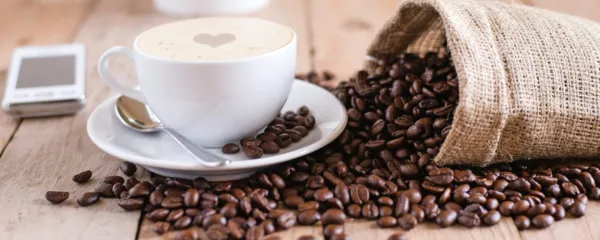 Na Ljubljana Coffee festivalu bodo razstavljalci iz Slovenije in 
tujine predstavili najnovejše trende iz sveta kave, miksologije in 
visoke kulinarike.