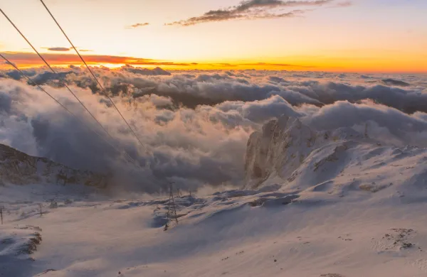 kanin sneg panoramska