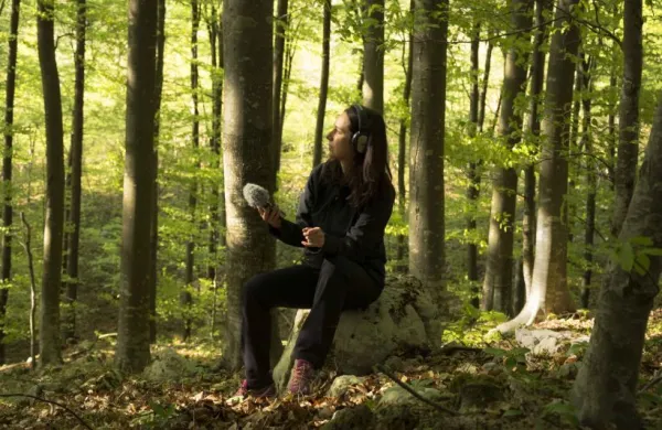 Martina Testen se je s projektom Early Mornings in Mejak Forest uvrstila med najbolj&scaron;e avdiovizualne umetnike zadnjega desetletja