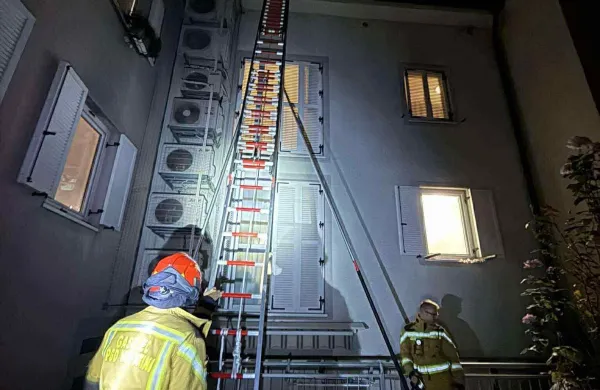Koprski gasilci uničili 15 sr&scaron;enjih gnezd