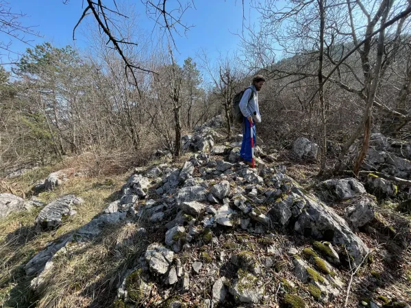 Kras.Slovenska arheoloska stroka je na Krasu prisla do izjemnega odkritja - vec kilometrov dolgih kamnitih struktur, ki so jih prazgodovinske skupnosti uporabljale za mnozicni lov na divjad. Kot sta sporocila avtorja raziskave Dimitrij Mlekuz Vrhovnik in Tomaz Fabec, gre za eno najvecjih tovrstnih prazgodovinskih arhitektur v Evropi.Foto: Filozofska fakulteta