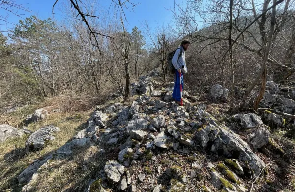 Ru&scaron;evina usmerjevalnega zidu na terenu. Zidovi so zgrajeni iz velikih, korodiranih apnenčastih kamnov, &scaron;iroki približno en meter in visoki do enega metra.T. Fabec/ZVKDS.