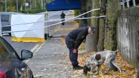 Mrtva obležala drug na drugem