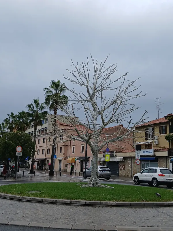 V slovenski Istri se že pripravljajo na božično-novoletna praznovanja: v Koper prihaja novo "zvezdnato nebo"
