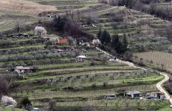 Izola, 15.03.2013vrtičkarji, njive, kmetijske povr&scaron;ine, kmetijska zemlji&scaron;ča, zelene povr&scaron;ine, barake na njivah, Polje