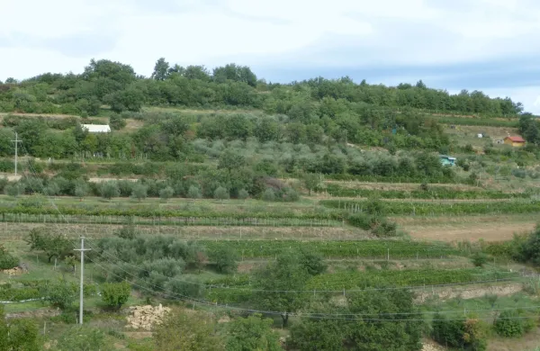 istra, izola, korte, kmetijska zemlji&scaron;ča, barake, september 2013
