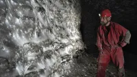 Na mreži naj bi domovalo več kot 111 tisoč pajkov