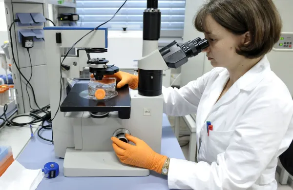Ljubljana, Center za matične celice. Predstavitev Centra za Maticne celice (CMC), na kateri so predstavili kljucne razvojne in poslovne izzive na dejavnosti CMC. Pregledovanje maticnih celic na mikroskopu. Laboratorij Foto: Tamino Petelinsek/STA