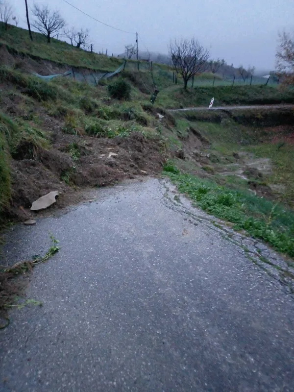 Plazovi v Brdih