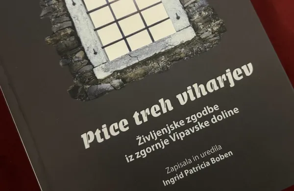 Knjiga Ptice treh viharjev avtorice Ingrid Patricie Boben.