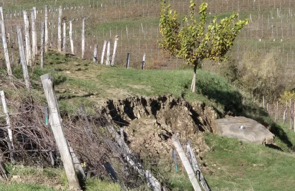 ujma Brda uničeni vinogradi 
