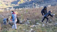 Zaključili sajenje dreves, zdaj je na vrsti nega gozdov