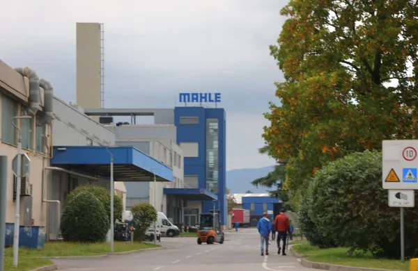 mahle