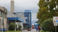 mahle