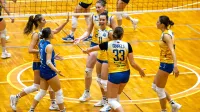 Gori&scaron;ke strele bodo posku&scaron;ale ponoviti vajo