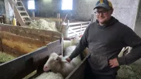 Bolezen modrikastega jezika: država kupila cepivo, rejci bodo plačali cepljenje