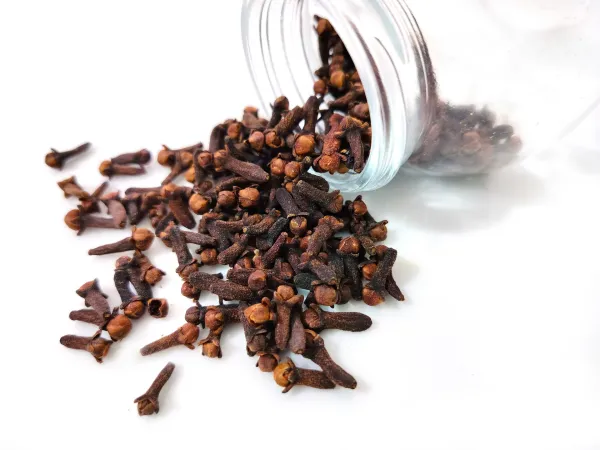 Klinčki delujejo protibakterijsko in protivnetno, zato so izvrstno domače sredstvo za pomoč pri zobobolu. 