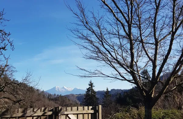 &Scaron;ele brez odeje iz listja in drugega zelenja vidimo osnovni skelet vrta.