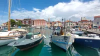 izola mandrač