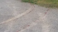 Bilo je vse krvavo, kot na boji&scaron;ču
