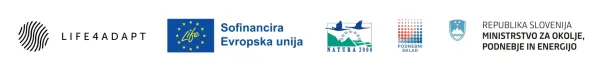 logo projekt