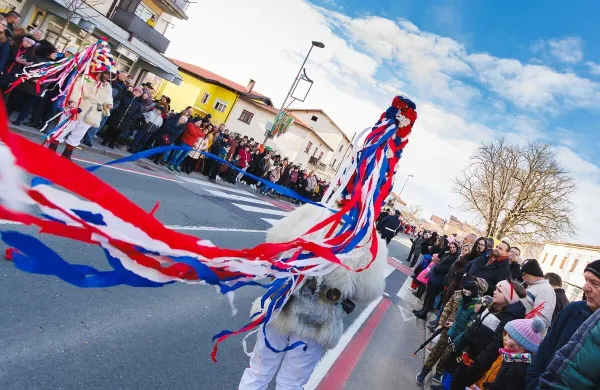 pust ilirska bistrica