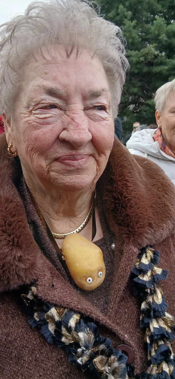 Darinka Flego