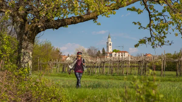 Festival Kra&scaron;ka gmajna